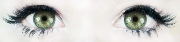 Western Eyes Nobluk Hydro Green - Image 5