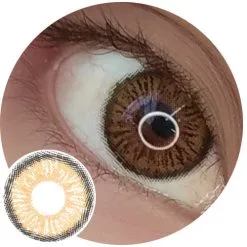 Urban Layer Almaty Brown