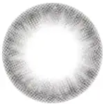 Barbie Secret Kiss Grey