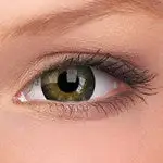 Phantasee BE Defined Ring