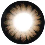 Kazzue Hyperopia Classic Brown