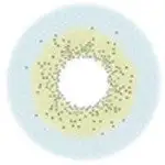 Urban Layer Celine Blue - Aka Batis Blue